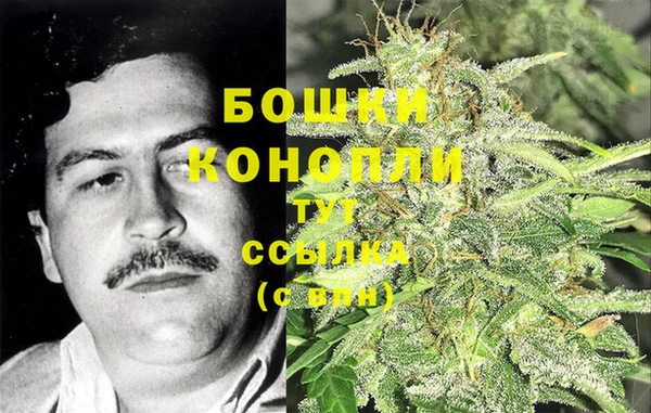 сатива Алзамай