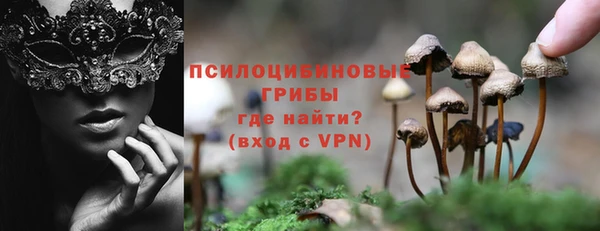 хмурый Алексин