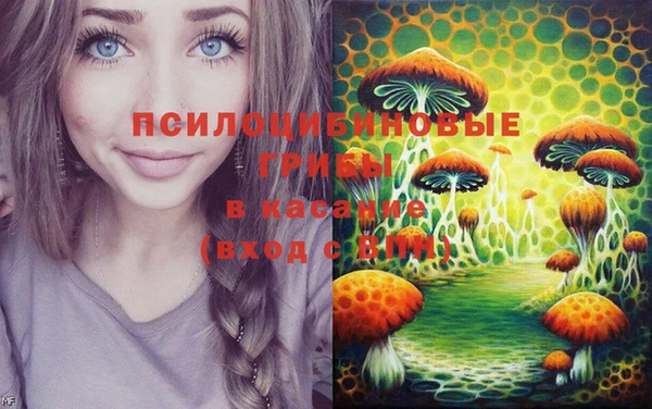 хмурый Алексин