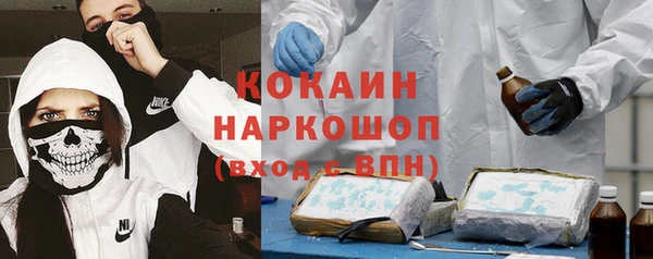 хмурый Алексин